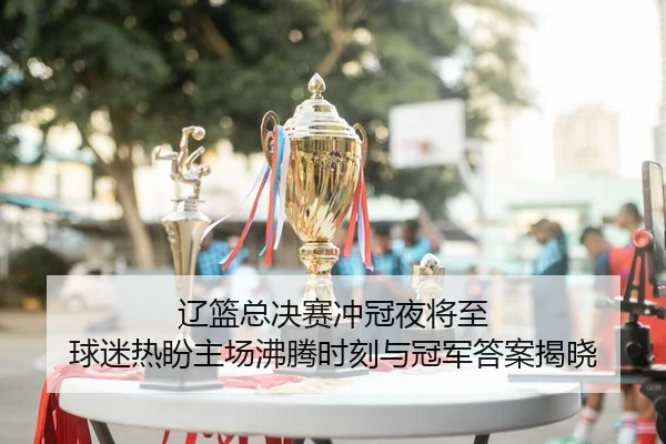 辽篮总决赛冲冠夜将至 球迷热盼主场沸腾时刻与冠军答案揭晓