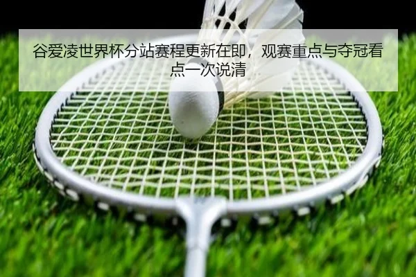谷爱凌世界杯分站赛程更新在即，观赛重点与夺冠看点一次说清